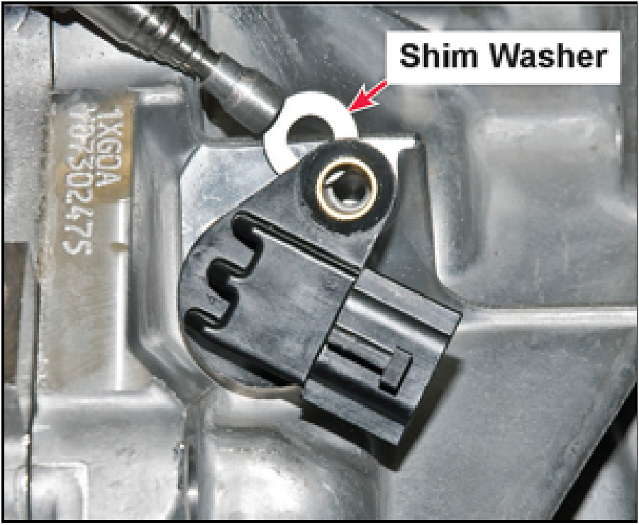 520065657_graphic-text289